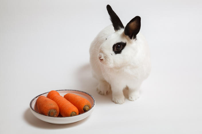 A white bunny with black eyes and ears standing beside a small plate of three baby carrots.