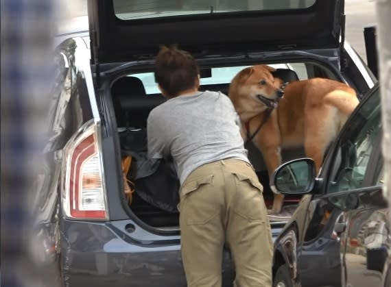 憶蓮安頓愛犬喺車尾私家位。