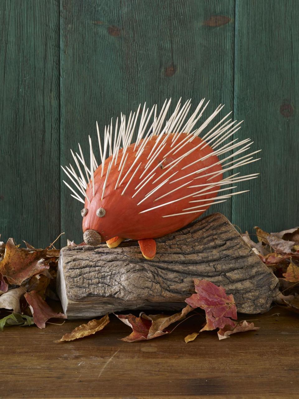 <p>Turn a squash into a cute little hedgehog by sticking toothpicks all over the top. Add tiny acorns for eyes and a nose. </p><p><a class="link " href="https://www.amazon.com/MontoPack-Toothpicks-1000-Piece-Appetizer-Toothpicks/dp/B00KJN84TW?tag=syn-yahoo-20&ascsubtag=%5Bartid%7C10070.g.331%5Bsrc%7Cyahoo-us" rel="nofollow noopener" target="_blank" data-ylk="slk:SHOP TOOTHPICKS;elm:context_link;itc:0;sec:content-canvas">SHOP TOOTHPICKS</a></p>