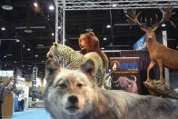 This image from video provided by the Humane Society of the United States shows taxidermy at the Safari Club International's 2020 annual convention, that was held Feb. 5-8, 2020, in Reno, Nevada. An undercover video recorded by animal welfare activists shows vendors at a recent trophy-hunting convention promoting trips to shoot captive-bred lions in Africa, despite past public assurances by the event's organizers that so-called canned hunts wouldn't be sold. (Humane Society of the United States via AP)