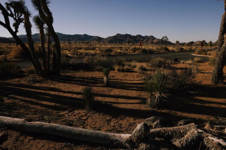 The area where rock star Gram Parsons was cremated at Cap Rock.