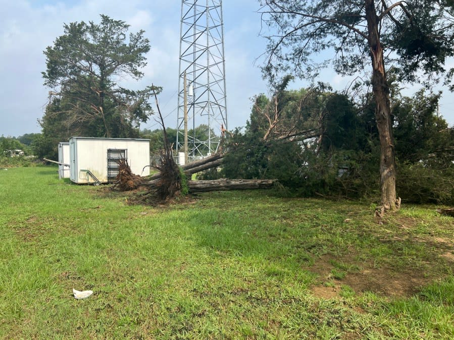 Storm damage in Henderson County