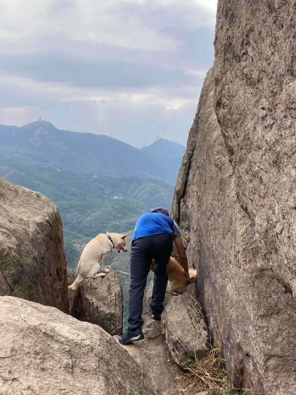 該男子無視狗隻安全，要狗狗坐在山崖石上。