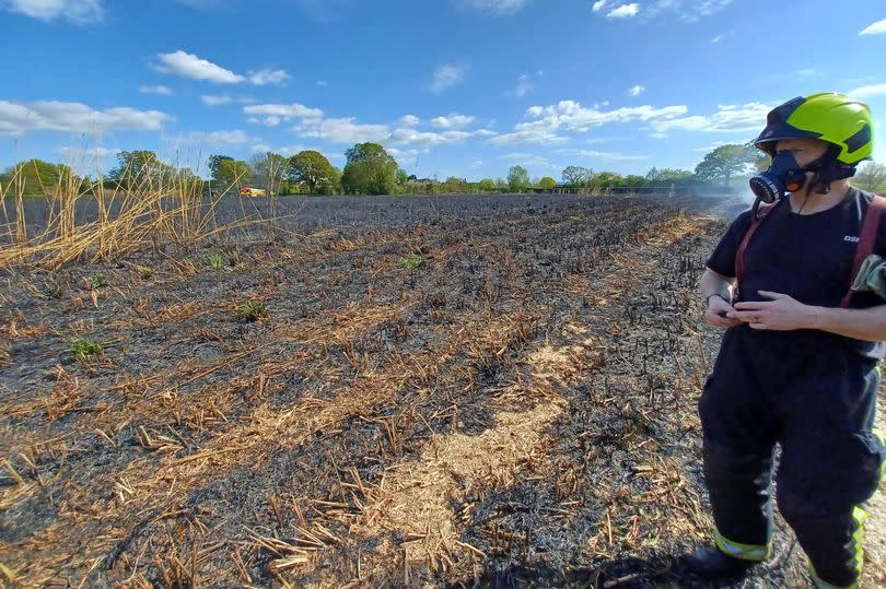 A field of crops almost totally destroyed by flames in Nailsbourne, Somerset -Credit:Wellington Fire Station