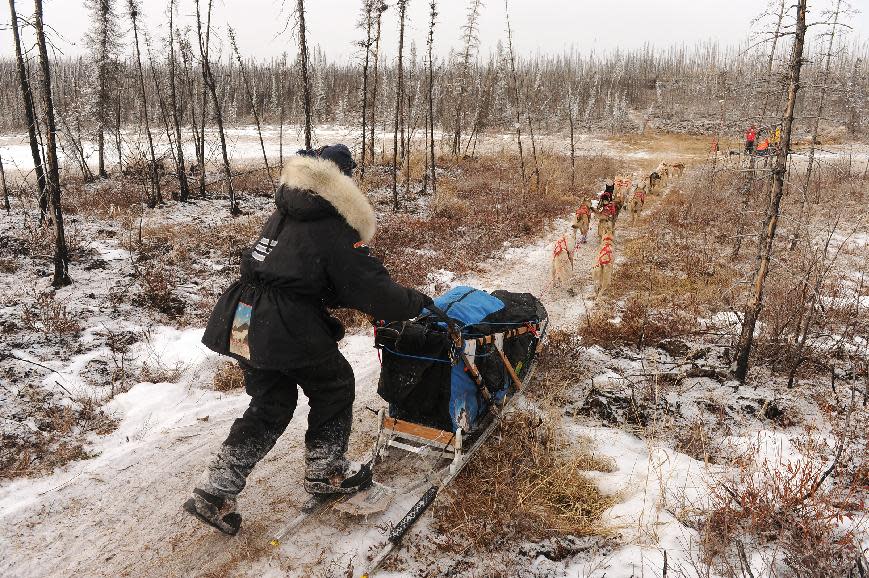 Kristy Berington mushes down the Iditarod Trail in the middle of the Farewell Burn during the 2014 Iditarod Trail Sled Dog Race on Tuesday, March 4, 2014. (AP Photo/The Anchorage Daily News, Bob Hallinen)