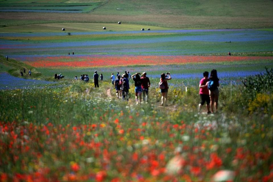 A classic Umbrian landscape - getty