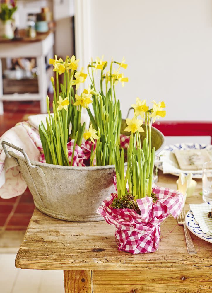 easter ideas daffs