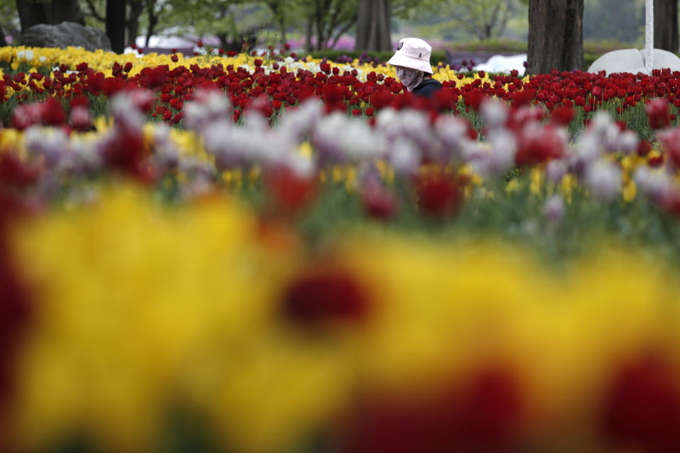 A visitor wearing a face mask as a precaution against the coronavirus walks near a field of tulips at a park in Goyang, South Korea, Friday, April 23, 2021. (AP Photo/Lee Jin-man)