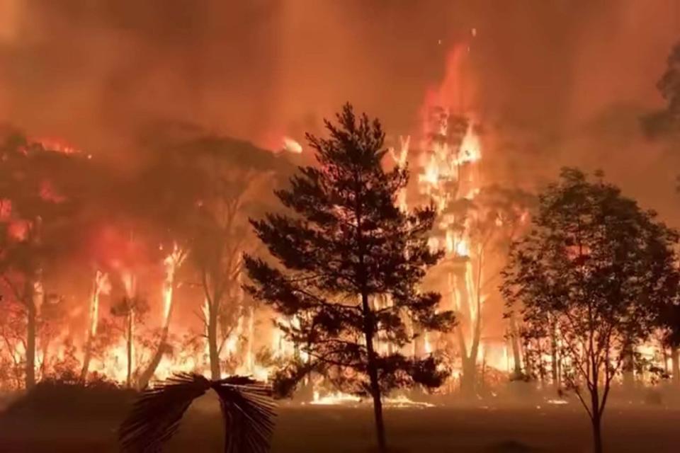 A fire blazes across bush as seen from Mount Tomah in New South Wales: TERRY HILLS BRIGADE via REUTERS