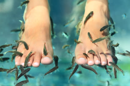 Pedicure con peces