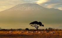 <p>Like Lindsey, I also have Mount Kilimanjaro at the top of my bucket list. After reading Werner Herzog’s memoir, “Of Walking in Ice,” I’m convinced that some places are meant to be traveled on foot. In the case of Mount Kilimanjaro, traveling by foot to the summit is your only option. At 19,341 feet above sea level, Kilimanjaro stands as the highest mountain in Africa, and the tallest free-standing mountain in the world. In addition to its height, Kilimanjaro contains multiple unique ecosystems, and is the second closest point in the world to the sun, after Ecuador’s Mount Chimborazo. – <em>Mary Robnett, assistant photo editor</em></p>