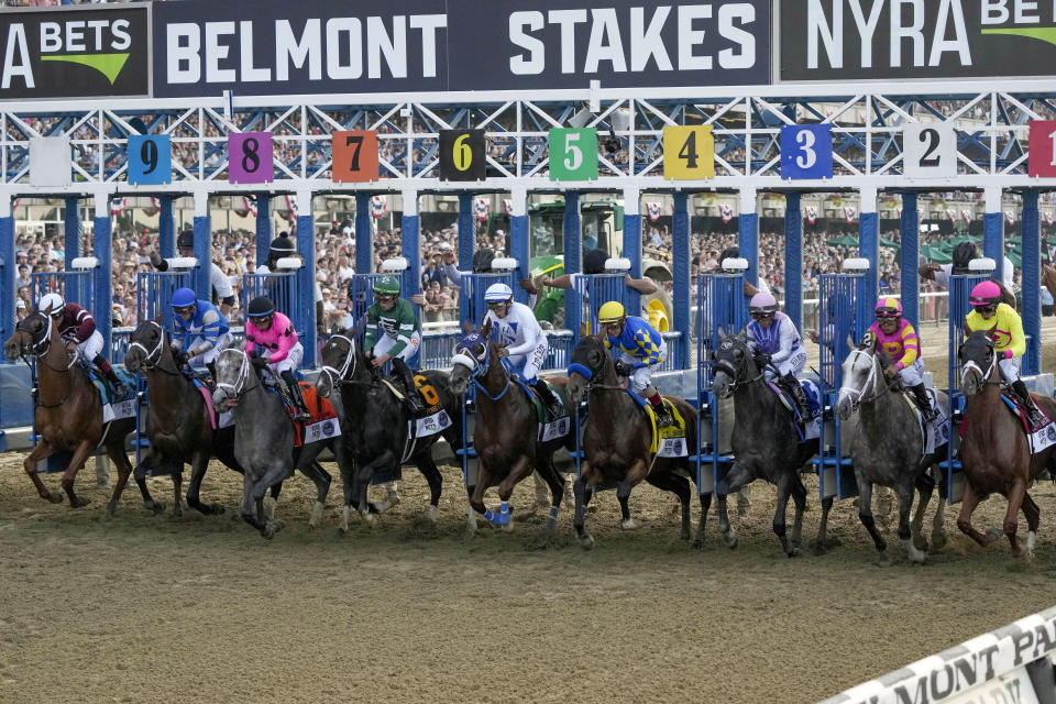 FILE - The field breaks from the starting gate in the 155th running of the Belmont Stakes horse race, Saturday, June 10, 2023, at Belmont Park in Elmont, N.Y. The 2024 Belmont Stakes will be run at Saratoga Race Course, with the third leg of horse racing's Triple Crown shifting from Long Island to upstate to New York because of the massive renovation of Belmont Park. New York Gov. Kathy Hochul announced the move Wednesday, Dec. 6, 2023, which has been expected for some time since the New York Racing Association unveiled plans for the $455 million Belmont Park project. (AP Photo/Seth Wenig, File)