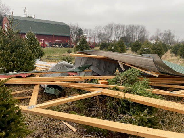 Young's Christmas Tree Farm Damage