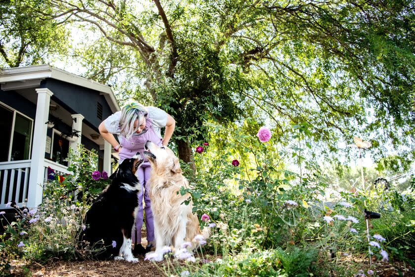 ALTADENA, CA - JUNE 27: Portrait of Seriina Covarrubias along with her dogs, Sage and Dusty, at her home in Altadena on Monday, June 27, 2022 in Altadena, CA. Covarrubias replaced her once green lawn with California natives, a stone pond water catchment area and an array of drought tolerant plants. (Mariah Tauger / Los Angeles Times)