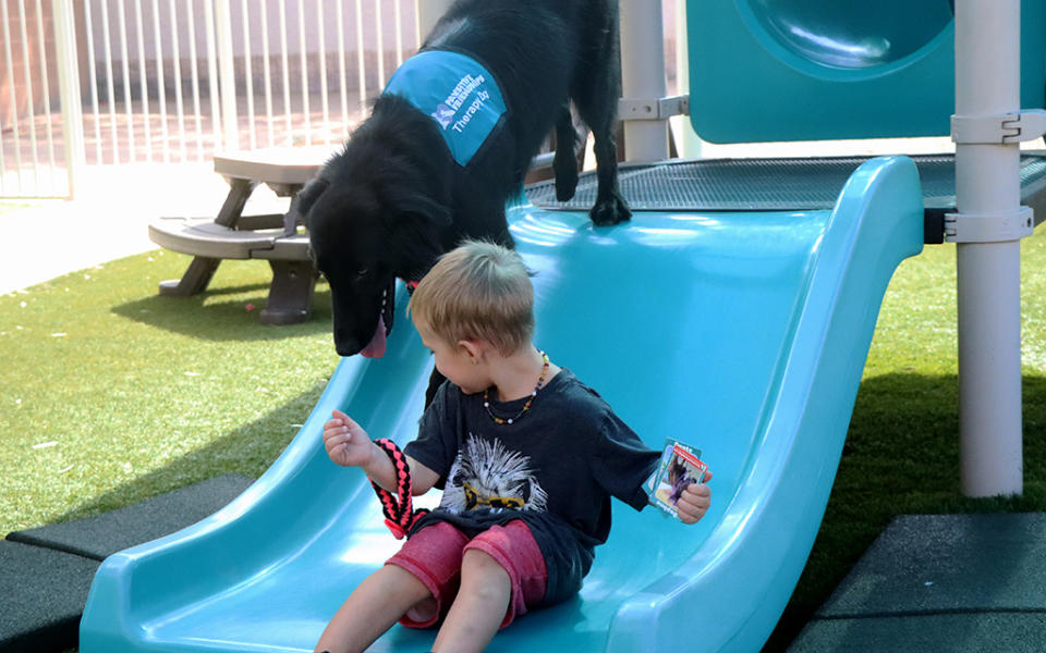 Therapy dog Suki and a student go down the slide at A Place 4 Everyone Learning Center. (Hunter Fore/Cronkite News)