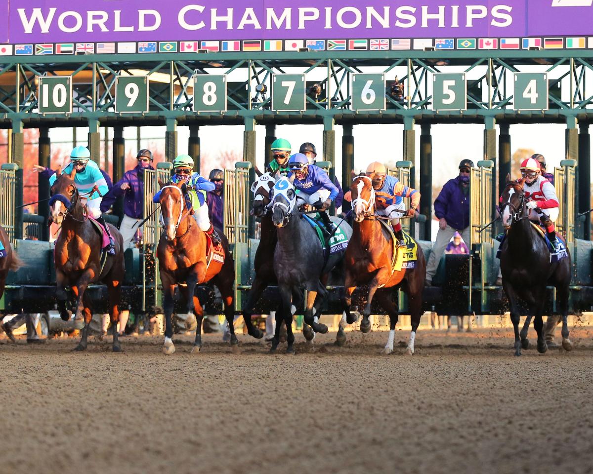 How to watch Breeders' Cup 2022 on TV, livestream