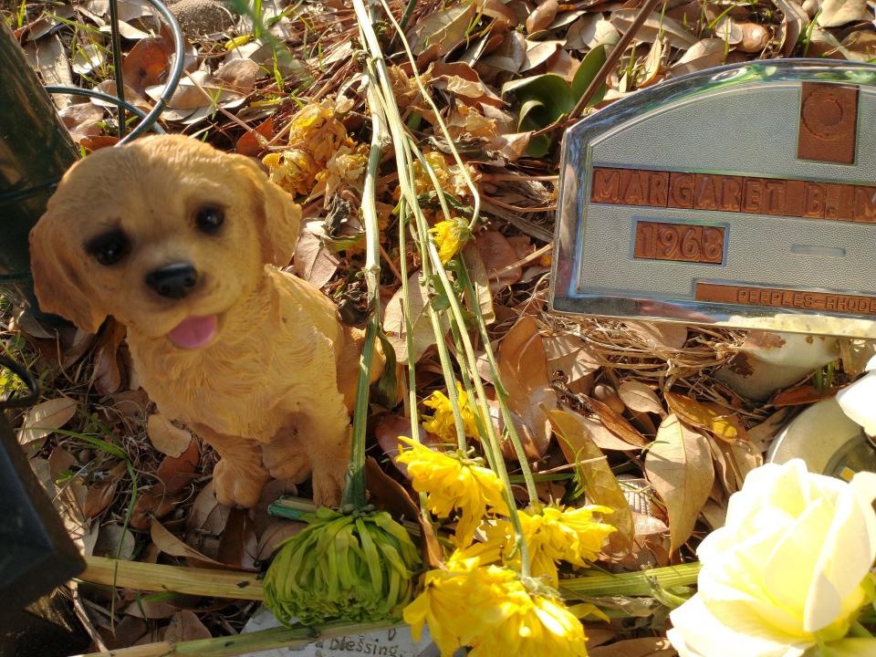 A graveside memorial to slain mother and wife, Margaret "Maggie" Murdaugh includes Bubba the yellow lab, a rambunctious family pet who loved to chase chickens and, in a way, was instrumental in convicting Maggie's husband, Alex, in her murder.