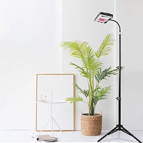 1) Grow Light with Stand