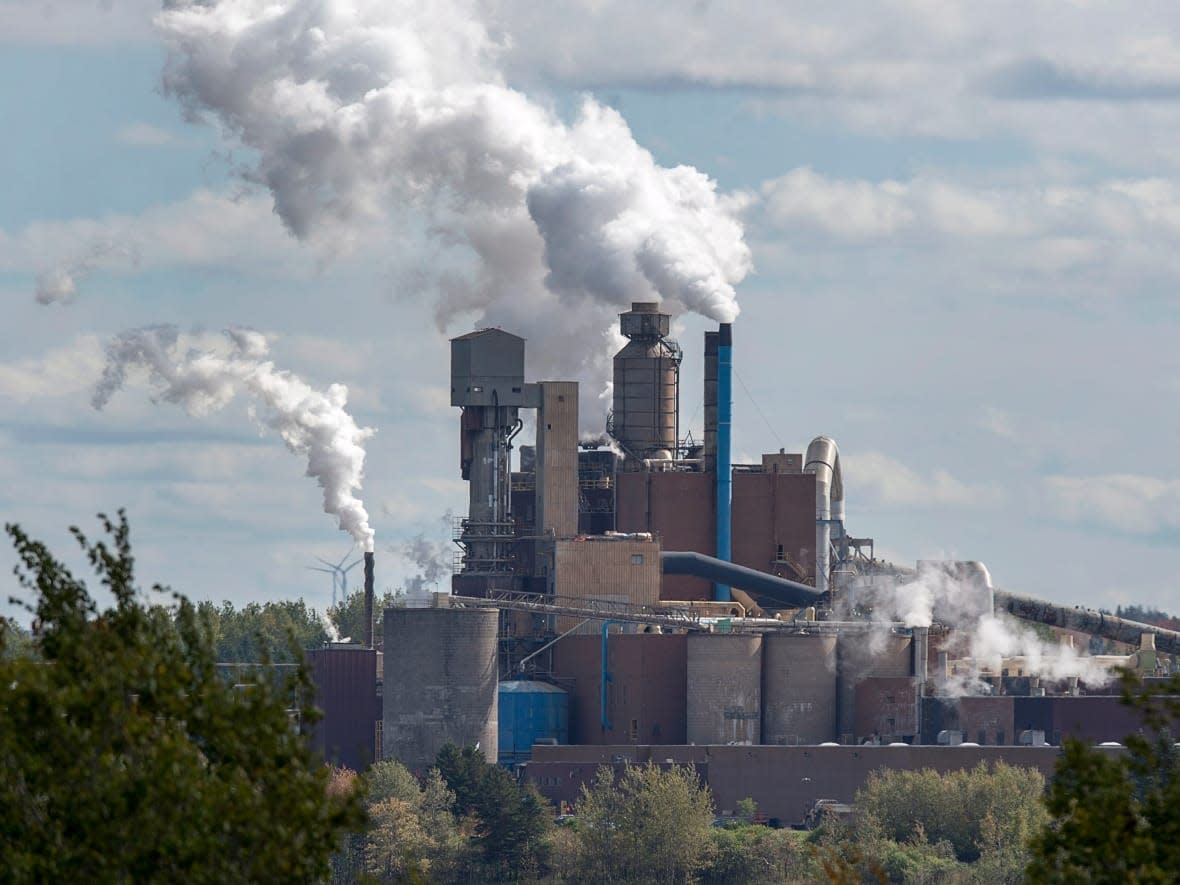 The Northern Pulp mill as seen in a file photo from 2018. Officials with the company are going to court on Friday in hopes of extending creditor protection until the end of August. (The Canadian Press - image credit)