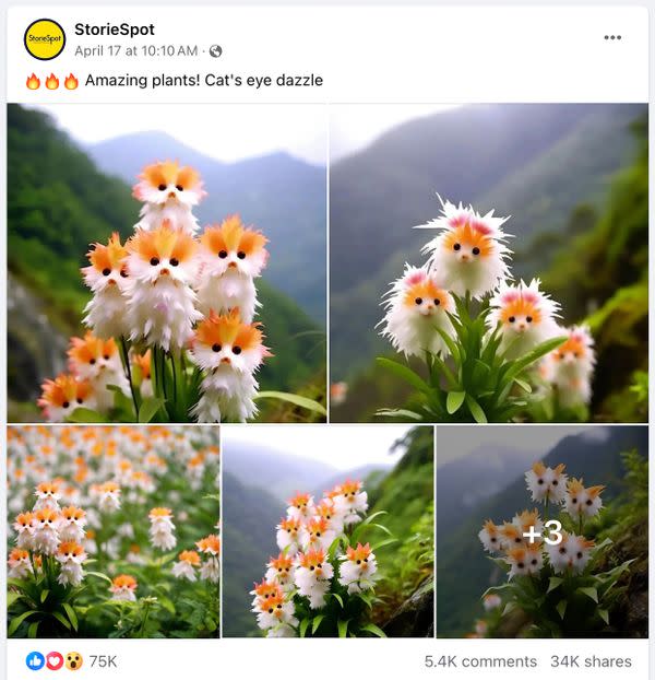 A fake flower called cats eye dazzle is being shared online next to sales for supposed seeds, all based on photos generated by AI.