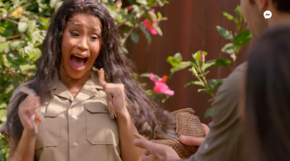 Cardi B freaking out at an armadillo