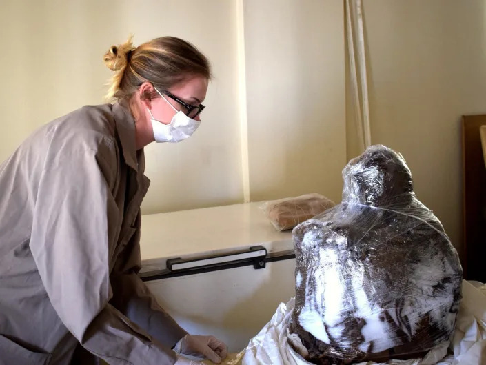Dagmara Socha is wearing a lab coat as she examine remains of the Inca mummy wrapped in plastic.