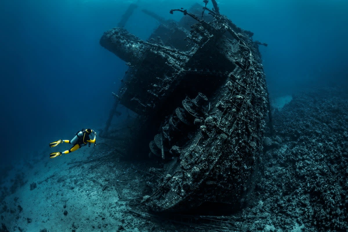 Vibrant marine life thrives under the Egyptian waters (Getty Images)