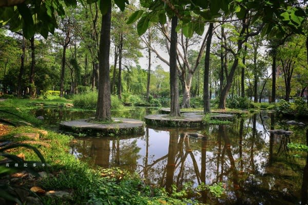 大東濕地公園美麗的景緻就像是迷你版的忘憂森林。（圖片來源／高雄記事本）