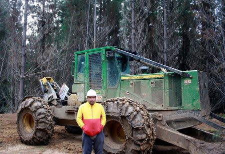 Nelson Hidalgo, an operations manager for forestry subcontractor Nylyumar, poses at a plantation near where rebels threatened him in Angol city, south of Chile, June 8, 2016. REUTERS/Gram Slattery