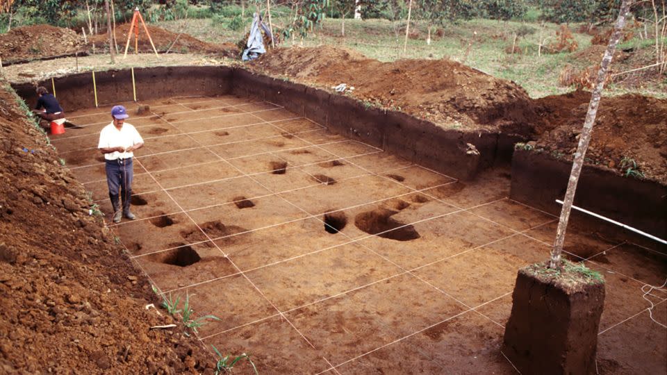 Крупномасштабные археологические раскопки на одной из земных платформ стоянки Киламопе, долина Упано, Эквадор.  - любезно предоставлено Стивеном Ростеном