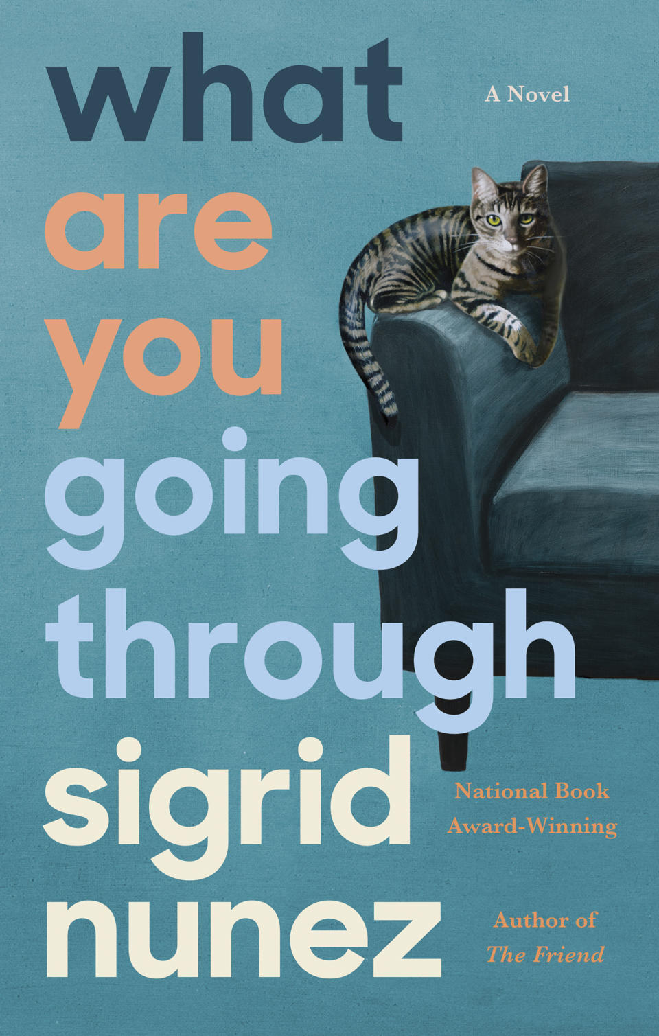 This cover image released by Riverhead Books shows "What Are You Going Through," a novel by Sigrid Nunez. (Riverhead Books via AP)