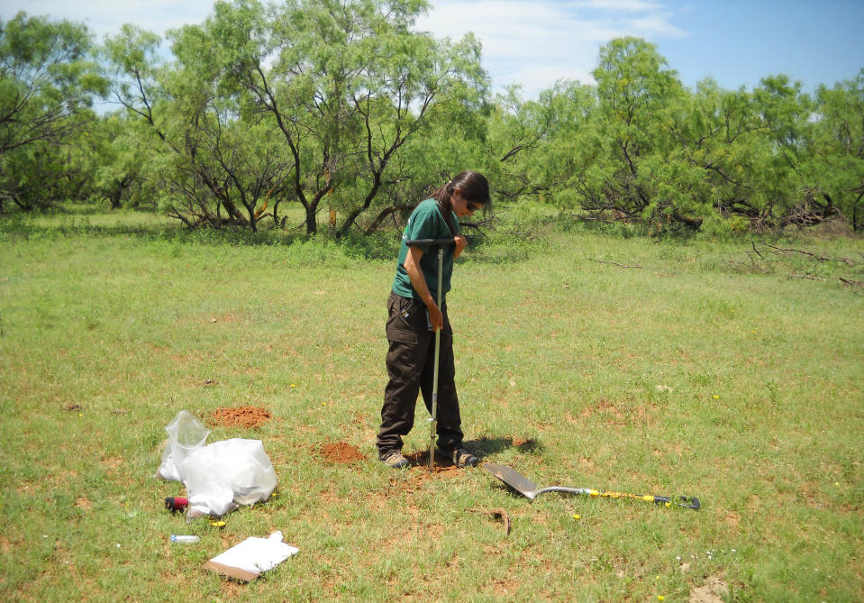 In this photo taken June 2, 2010, and provided by the U.S. Geological Survey, Jazelle Mondeau, at the time a student at University of Arizona, collects soil in the Texas Panhandle. The federal government sent students and scientists to more than 4,800 places across the nation to collect soil that was analyzed for its composition. The results are now highly sought after by researchers in a wide variety of fields. (AP Photo/U.S. Geological Survey)