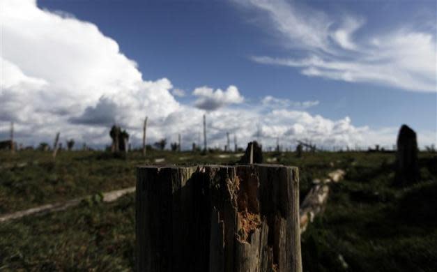 The state of Brazil’s Amazon