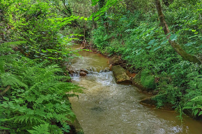 Valley Floor is a 5.3acre woodland site with its own stream outside Portreath and potential for future development
