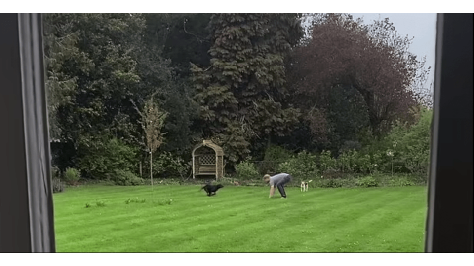 Harry in garden 