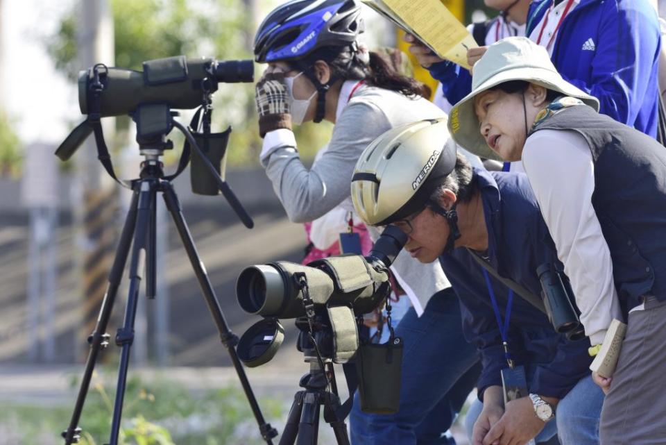 台江國家公園管理處將在明年一月八日舉辦「單車賞鳥趣、漫遊山海圳」活動。 （台江處提供）