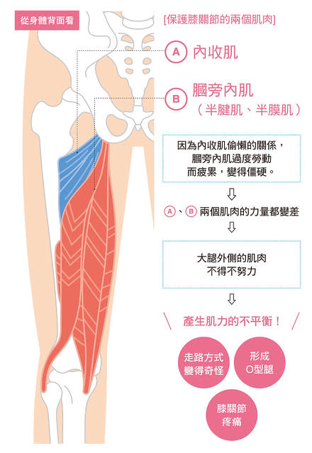  膝關節疼痛的原因是？