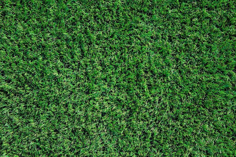 Background of artifical green grass