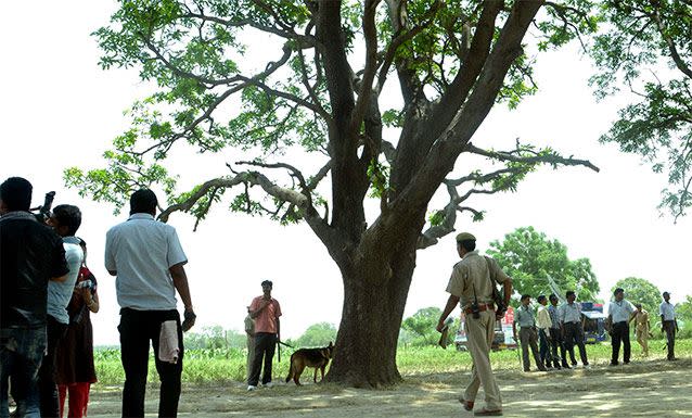 A tree where two teenage girls were found hanging after they were gang raped in Katra village in the northern Indian state of Uttar Pradesh state in May. Source: AP Images