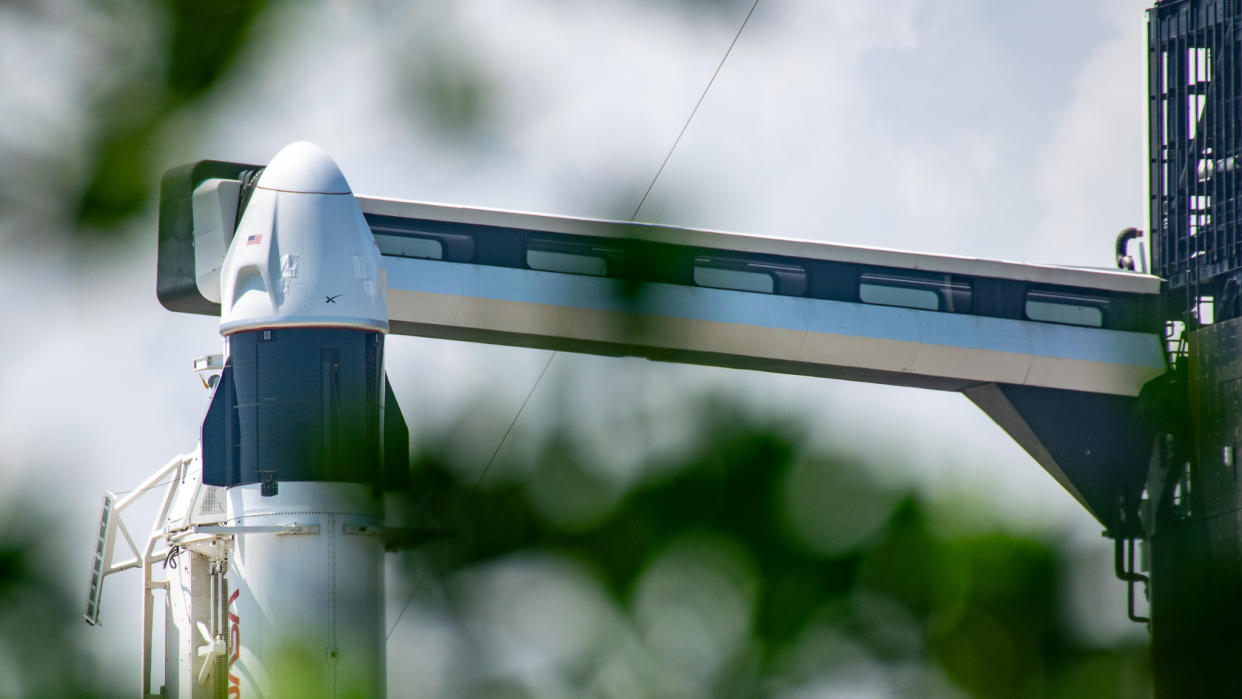  A white spacex crew dragon rests atop a falcon 9 rocket. the top is visible through blurry leaves in the foreground. the launch tower's crew access arm reaches to the far side of the spacecraft. 