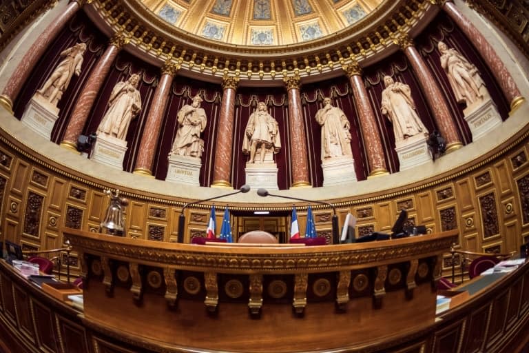 L'hémicycle du Sénat au Palais du Luxembourg à Paris, le 17 novembre 2016 à Paris  - LIONEL BONAVENTURE © 2019 AFP