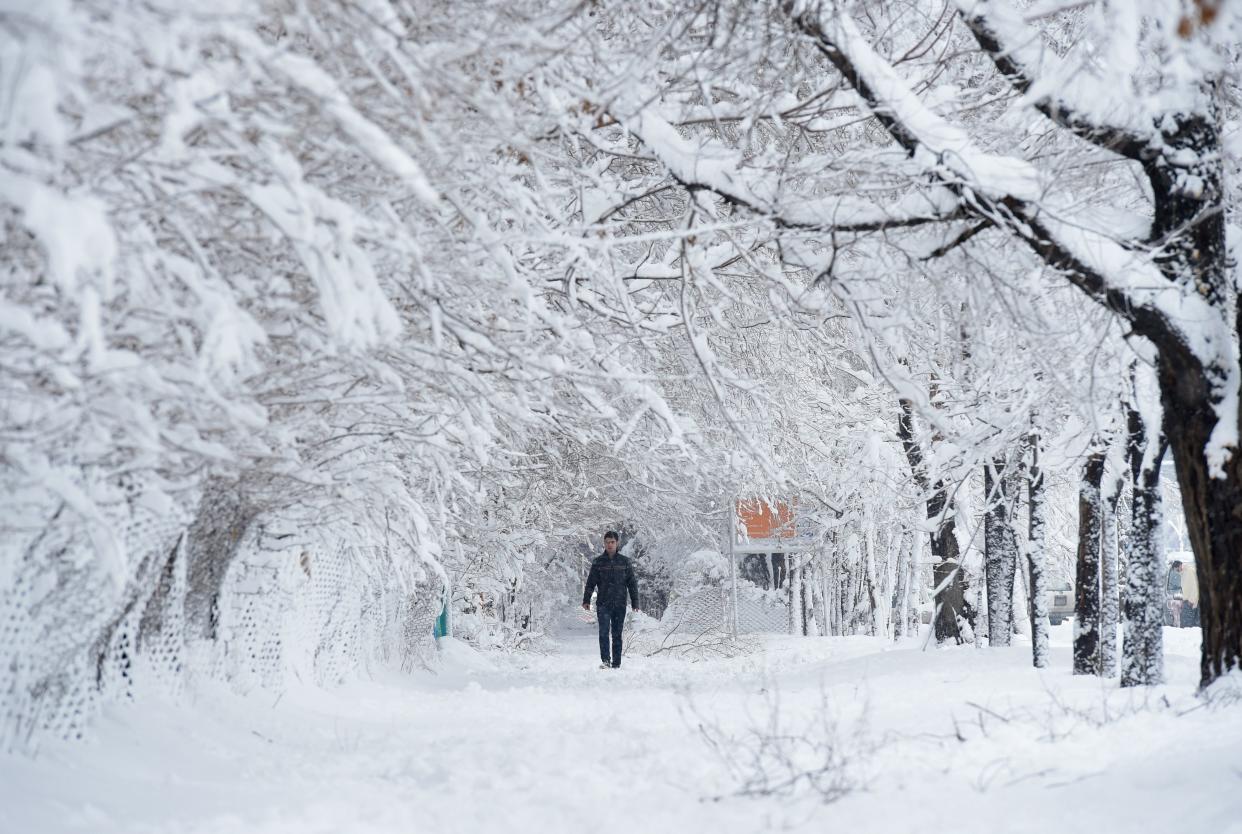 An Afghan man walks along a path under snow-laden trees in Kabul on Feb. 5, 2017. (Photo: SHAH MARAI via Getty Images)