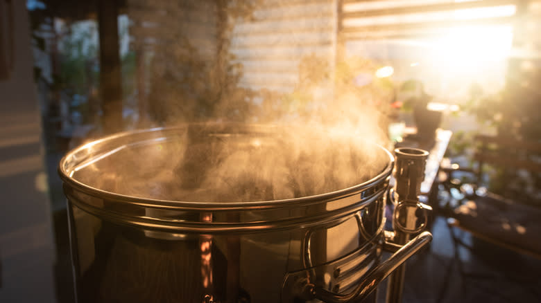 Beer fermenting kit