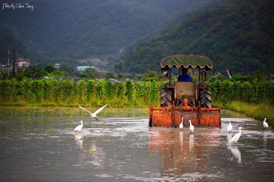 ▲宜蘭福山植物園附近景點—雙連埤。
（圖／taiwan.4fun, Instagram)