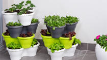 For another way to save space and 'grow up', try some clever pot plants. These stylish pots are designed to stack on top of each other, making the most of space so you can grow more small fruits, vegies and herbs. <br><br>Click here for <a rel="nofollow" href="https://au.lifestyle.yahoo.com/better-homes-gardens/gardening/h/15803020/how-to-grow-tiered-herbs/" data-ylk="slk:how to grow tiered herbs;elm:context_link;itc:0;sec:content-canvas" class="link ">how to grow tiered herbs</a>