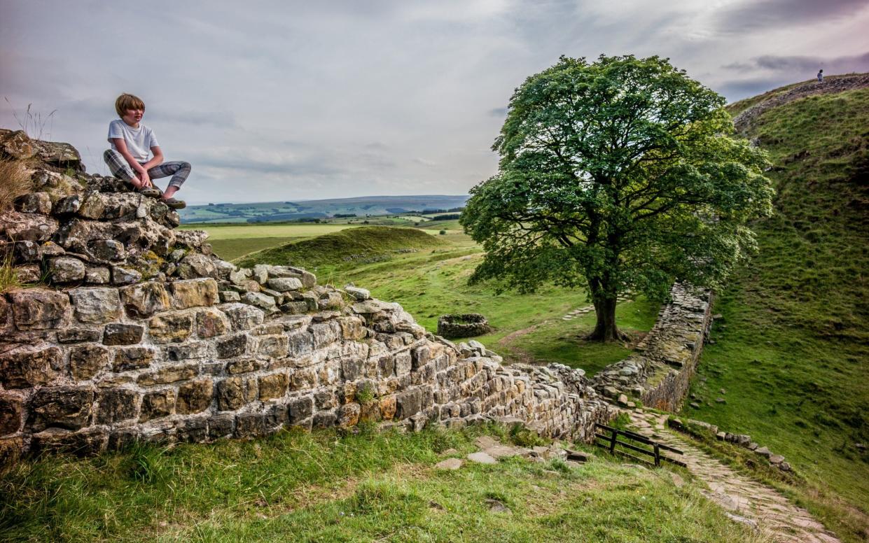 A young boys looking at the view from Hadrians Wall at Sycamore gap. - Roy James Shakespeare 