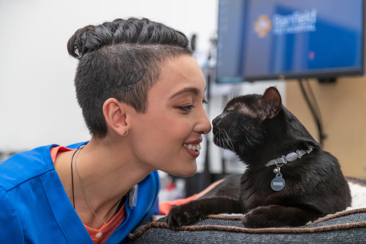 A veterinary professional gets close with a cat. (Courtesy of Banfield Pet Hospital)