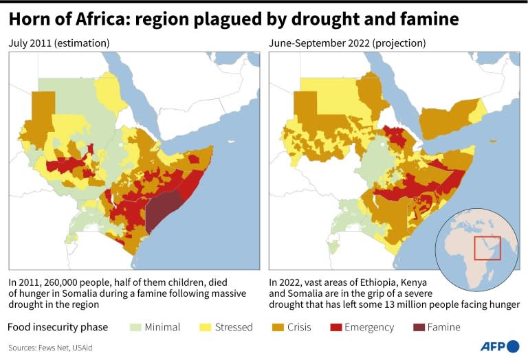 Horn of Africa: region plagued by drought and famine (AFP/Kenan AUGEARD)