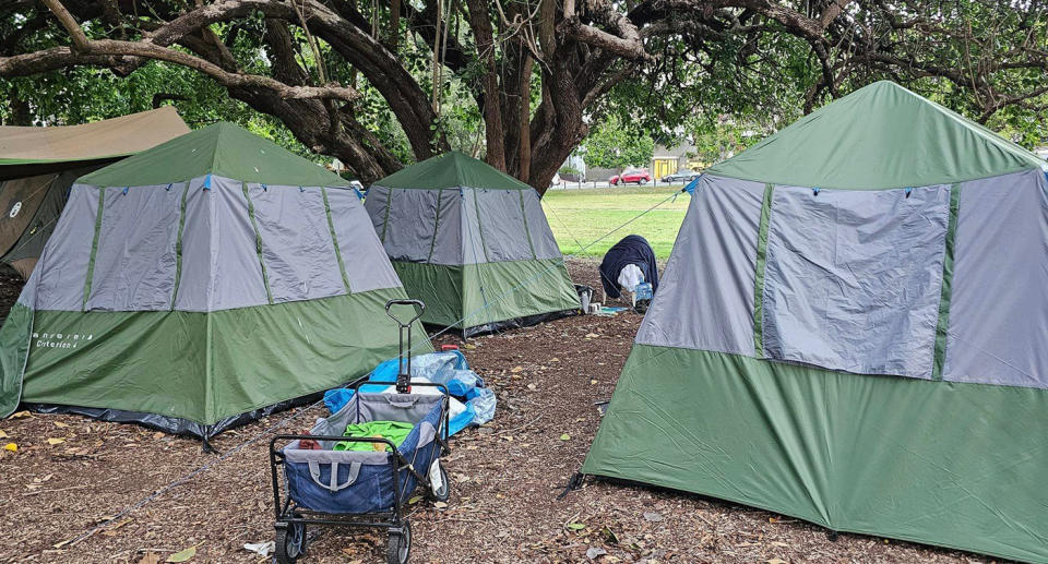 Tents in Musgrave Park, Brisbane due to homelessness. 