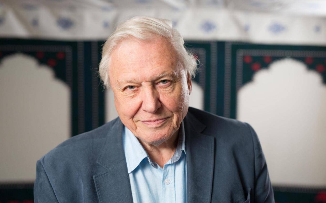 Sir David Attenborough - PA